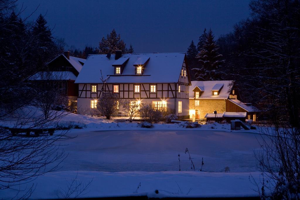 Romantik Hotel Landhaus Baerenmuehle Frankenau Bagian luar foto